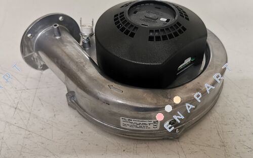 077338 (V211-A1050014)