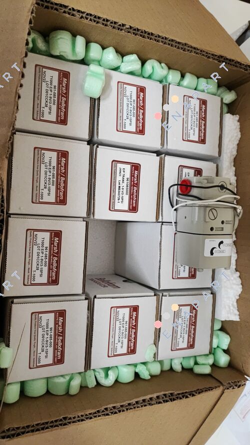 961-085-000 Trasduttore I/P a gamma estesa