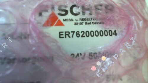 ER7620000004 relè sonda