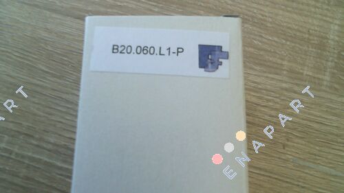 139251, FE B20.060.L1-P Elemento filtrante