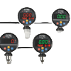 PRT&PRS&PRX Series Rotatable Digital Pressure Meter