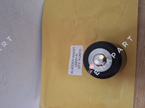 U002V-AI PULSANTE VESCICA+