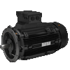 Explosion proof motors