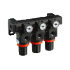 Multi series manifold regulators