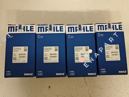 029 WV 20 00 Guida alle valvole