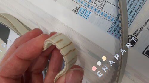 10AT5   Cinghia di distribuzione