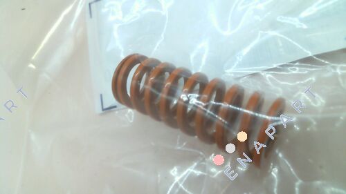 SWS21-55 molle a compressione