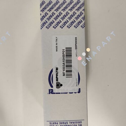 MF-100-3-A10-H-B-P01 Elemento filtrante