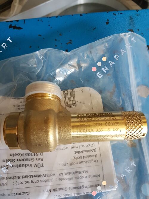 D10/CS Valvola di sicurezza (PRV)