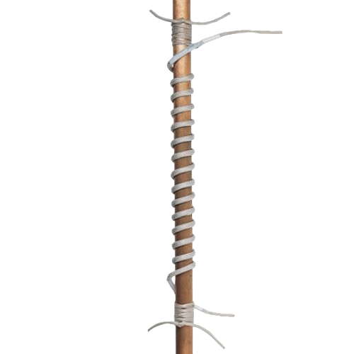 FGR