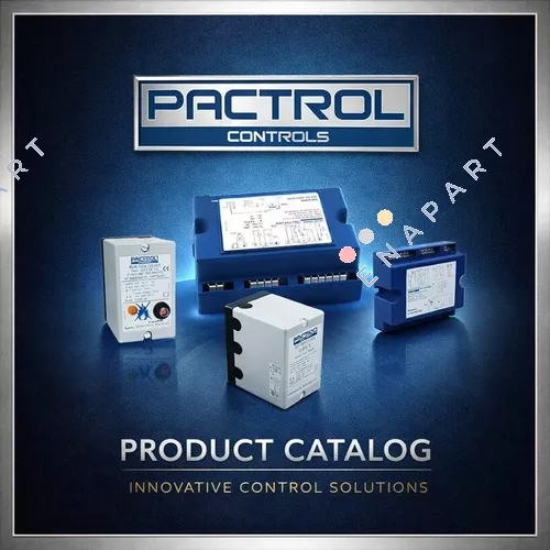 190065 Unità di controllo della combustione