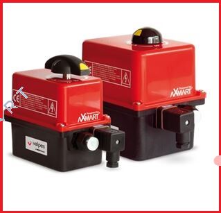 ER10.X0B.G00.167 Attuatore multivottaggio