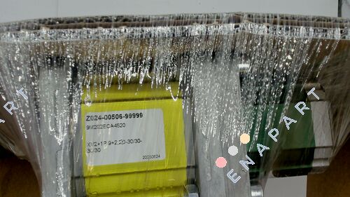 Z024-00506-99999 / 9M202ECA4520 Pompa ad ingranaggi.