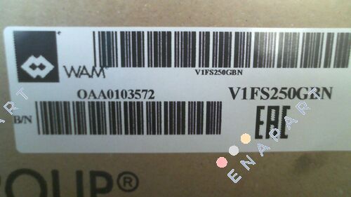 V1FS250GBN valvola a farfalla