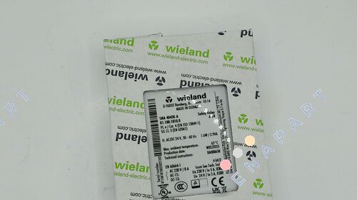 P/N: R1.188.1810.0, Type: SNA4043K-A AC/DC 24V (A) relè di sicurezza